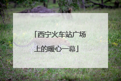 西宁火车站广场上的暖心一幕